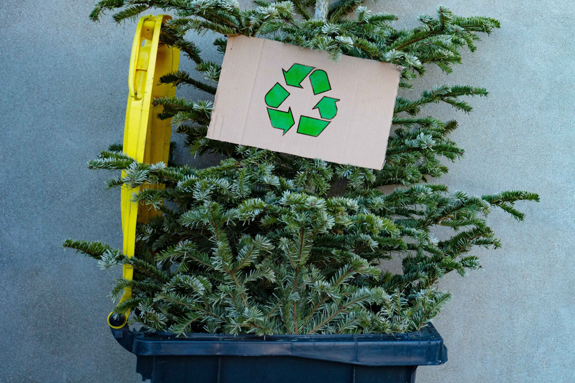 Recycling Your Real Christmas Tree | Blue Diamond